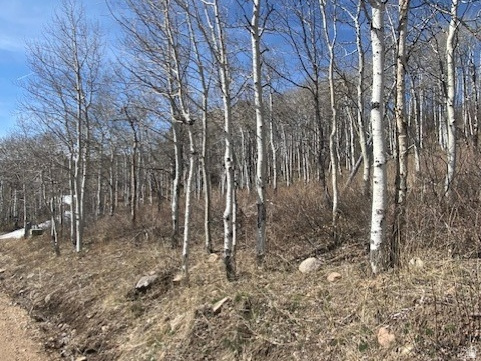 2604 S FOREST MEADOW RD Coalville, UT 84017