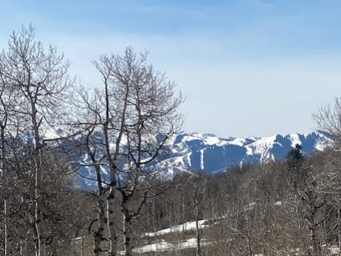 2604 S FOREST MEADOW RD Coalville, UT 84017