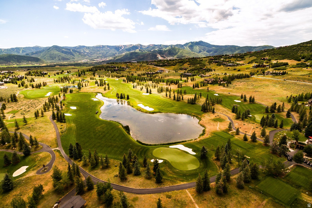 1159 SNOW BERRY ST Park City, UT 84098