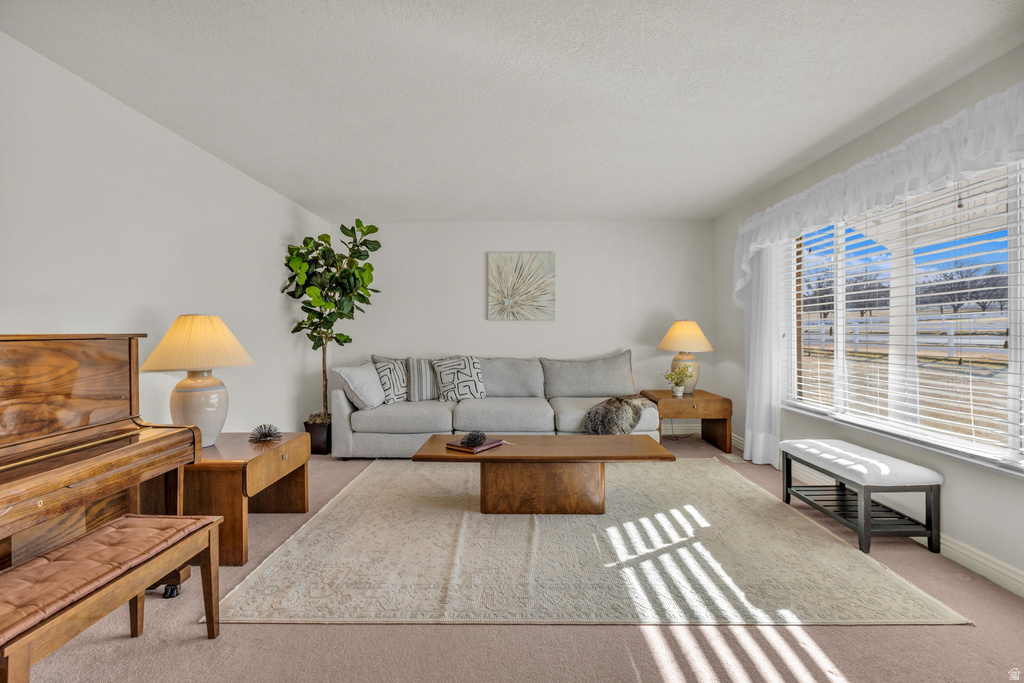 1060 W 2620 S Mapleton, UT 84664