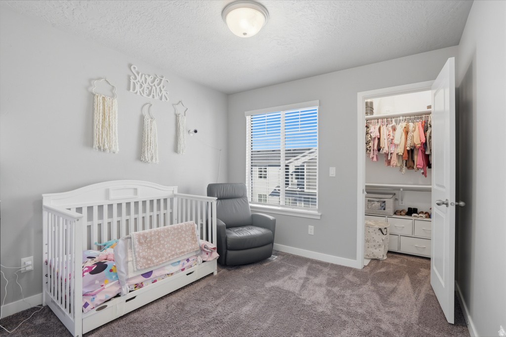 4211 W ANTELOPE PARK CT Riverton, UT 84096