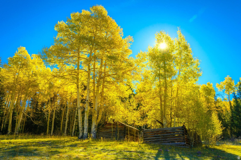  Brian Head, UT 84719