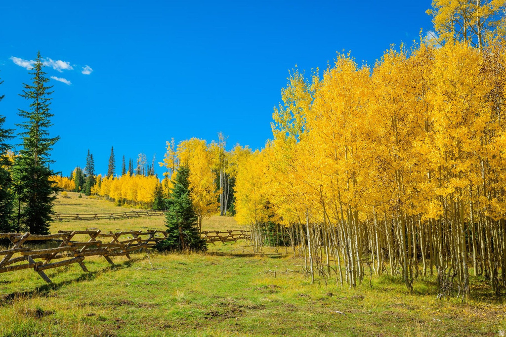  Brian Head, UT 84719