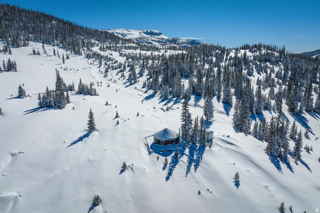  Brian Head, UT 84719