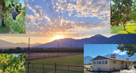 900 S GOOSENEST DR Payson, UT 84651