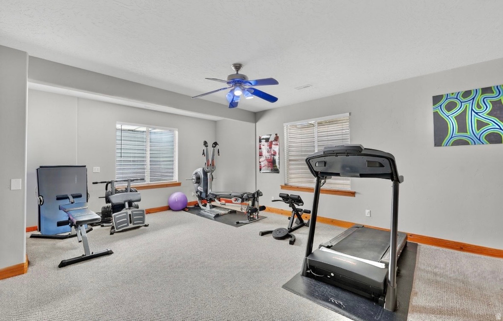 587 W CEPHUS RD Draper, UT 84020