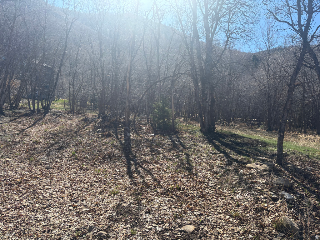 1040 S PINEVIEW DR Mapleton, UT 84664