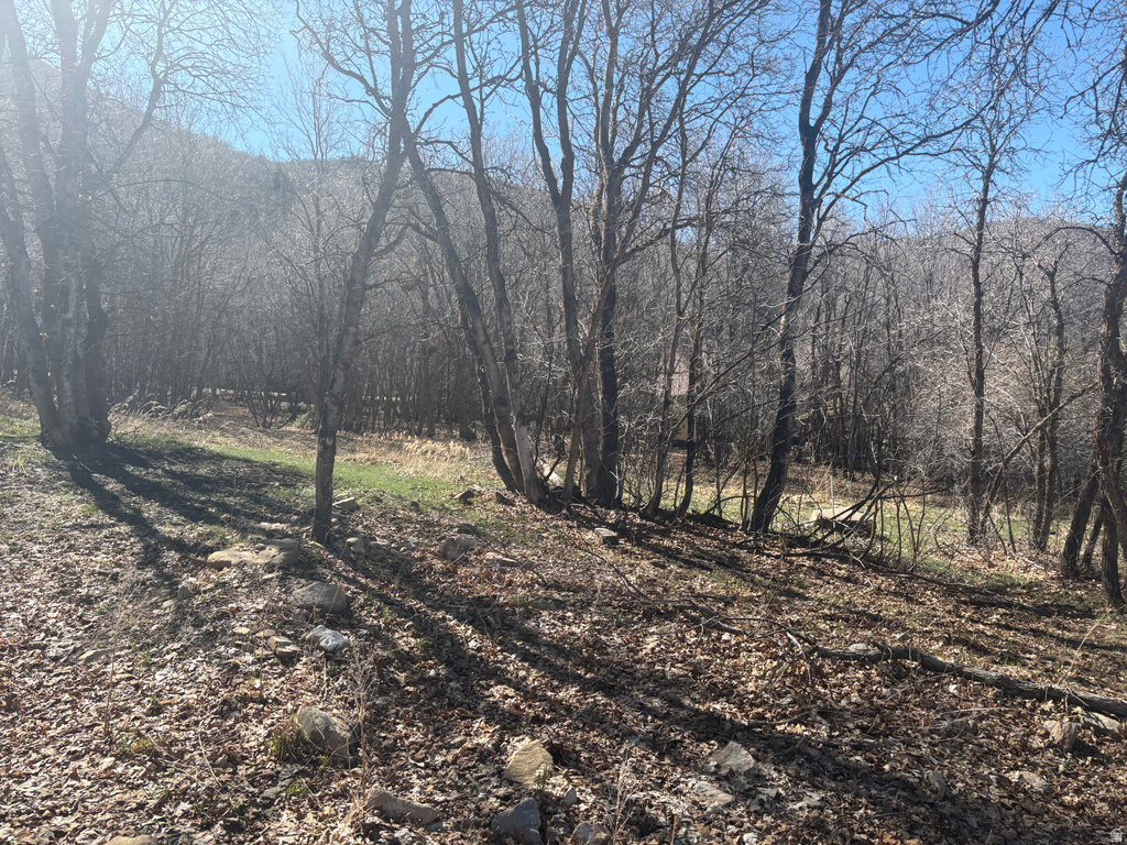 1040 S PINEVIEW DR Mapleton, UT 84664