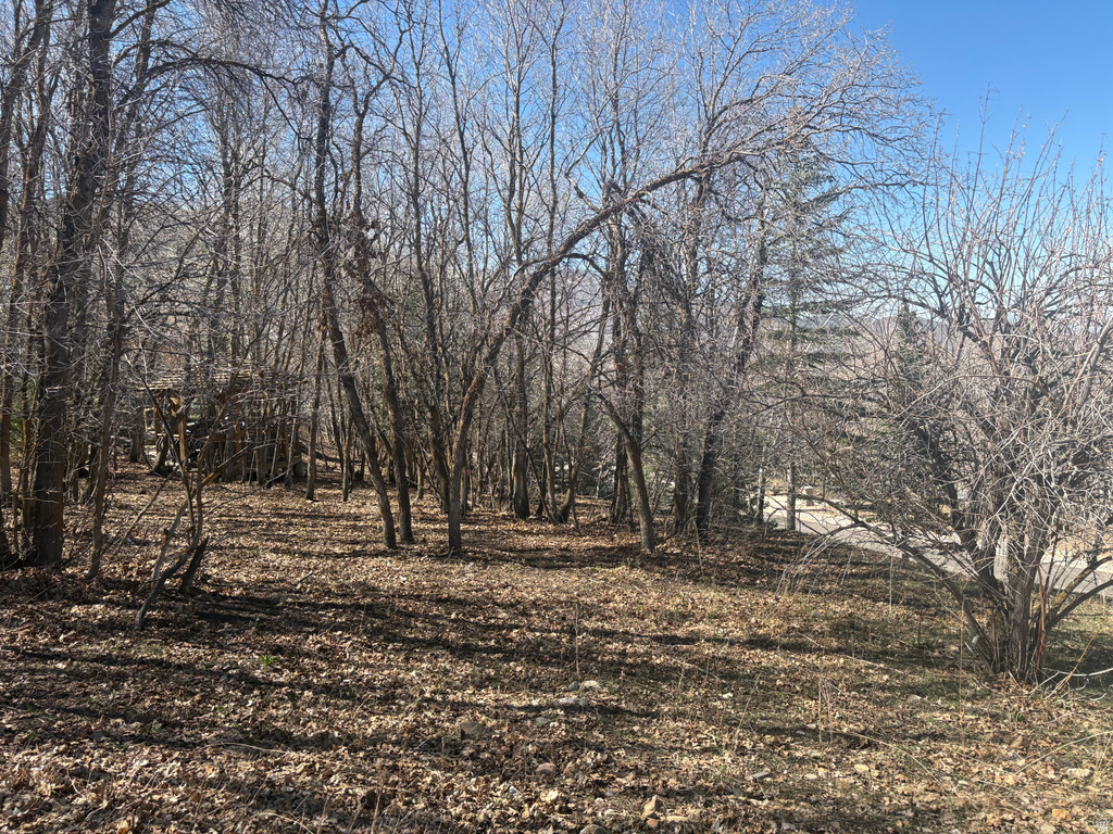 1040 S PINEVIEW DR Mapleton, UT 84664