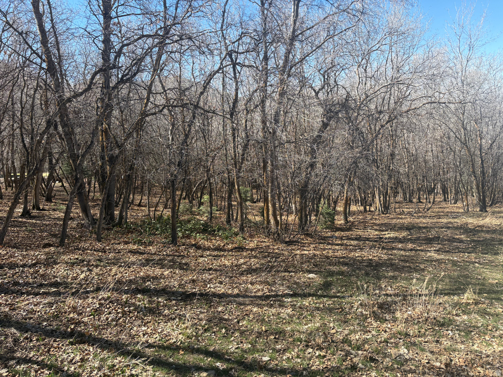 1040 S PINEVIEW DR Mapleton, UT 84664