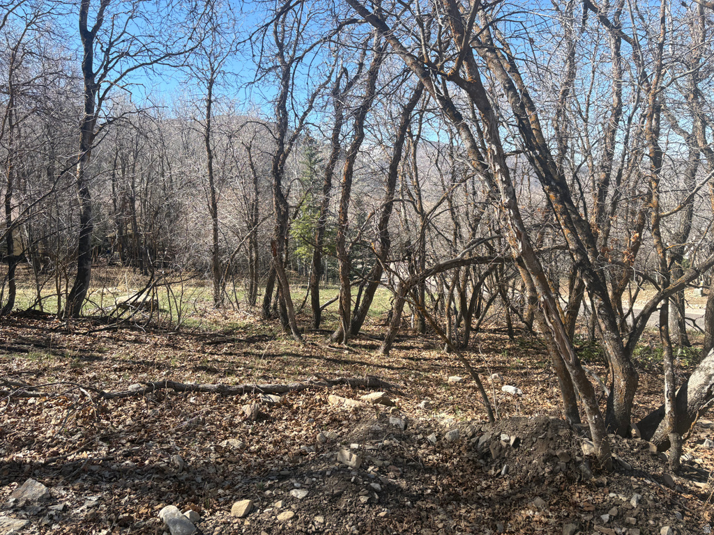 1040 S PINEVIEW DR Mapleton, UT 84664