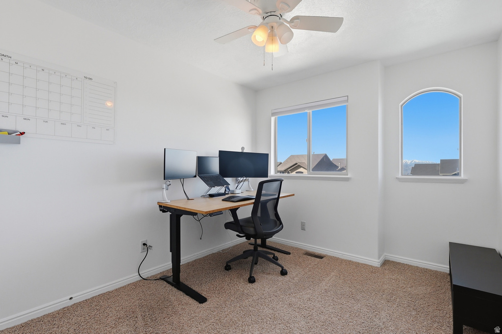 10302 N MORGAN BLVD Cedar Hills, UT 84062