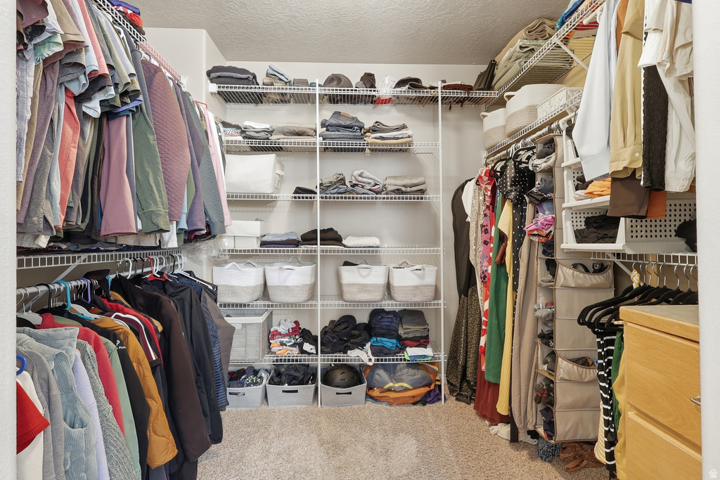 10302 N MORGAN BLVD Cedar Hills, UT 84062