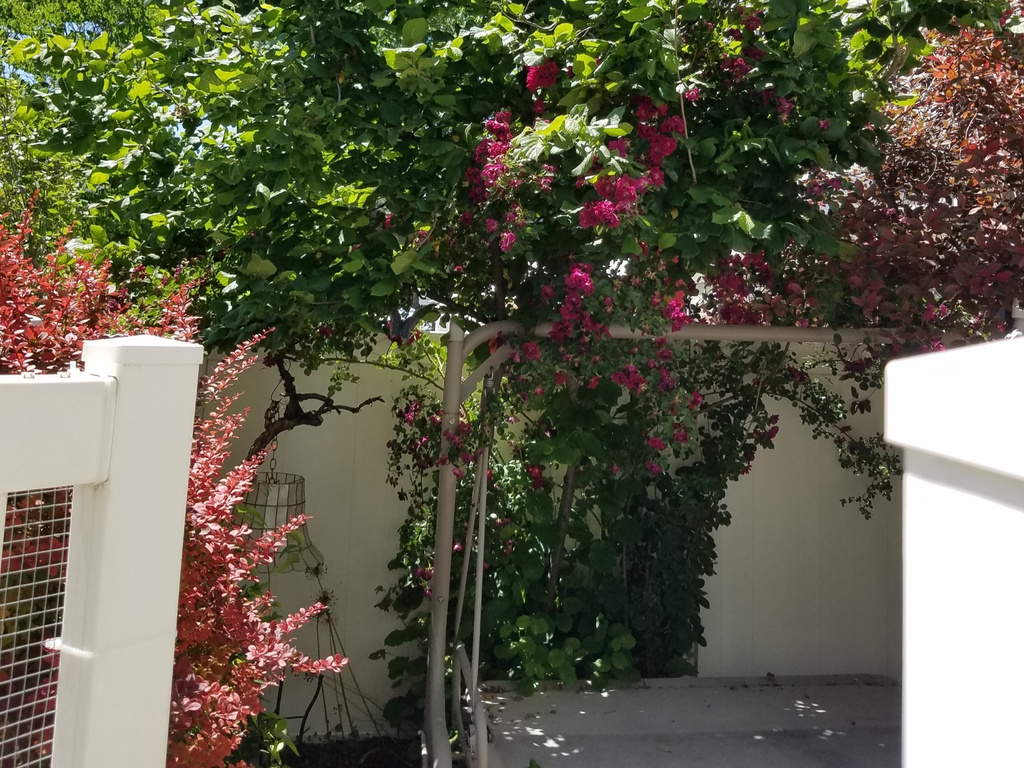 600 E 3990 S Murray, UT 84107