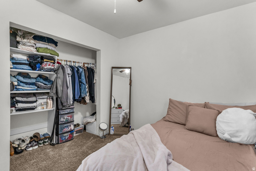 169 N 700 W Provo, UT 84601