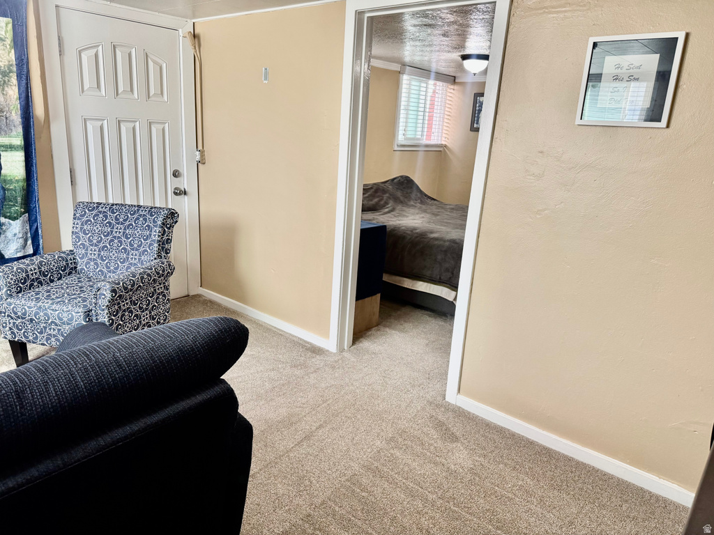 255 S 300 W Provo, UT 84601