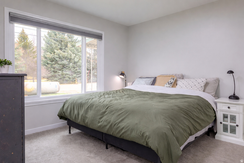 1246 E CANYON RD Logan, UT 84321