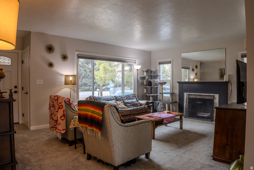 1246 E CANYON RD Logan, UT 84321