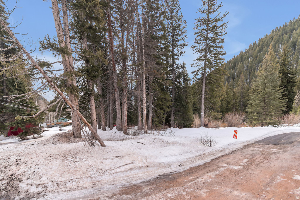 10840 E MOOSE RUN LN Brighton, UT 84121