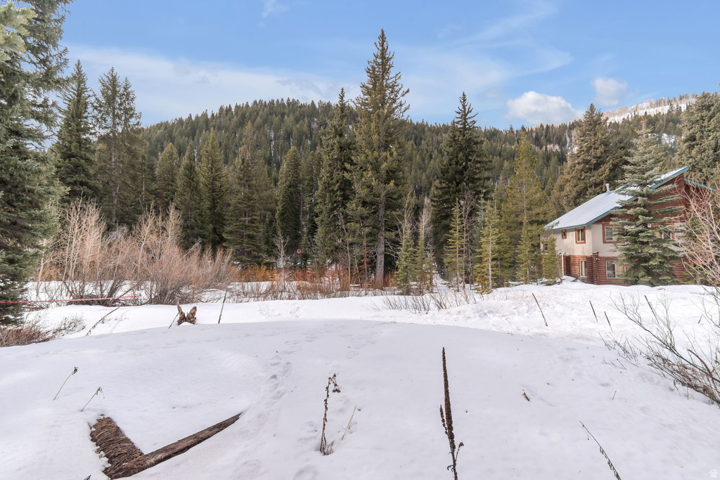 10840 E MOOSE RUN LN Brighton, UT 84121