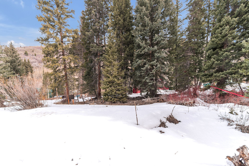 10840 E MOOSE RUN LN Brighton, UT 84121