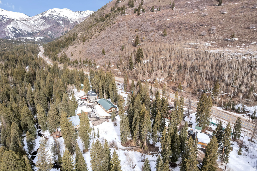 10840 E MOOSE RUN LN Brighton, UT 84121