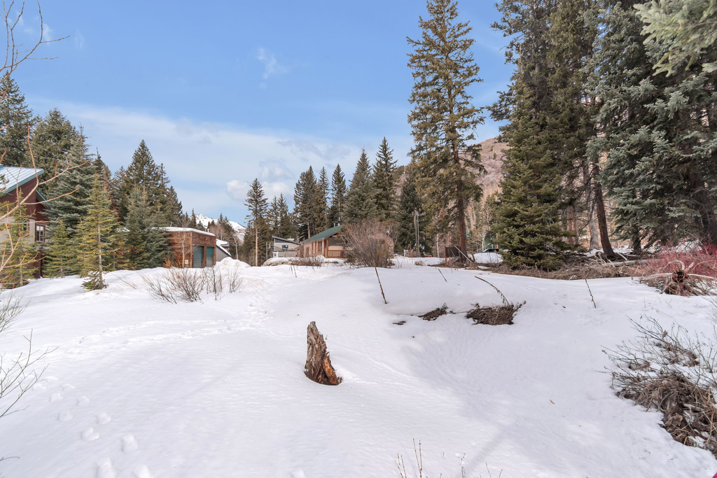 10840 E MOOSE RUN LN Brighton, UT 84121