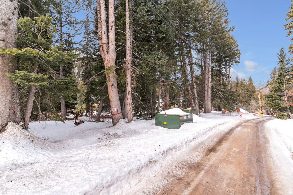 10840 E MOOSE RUN LN Brighton, UT 84121