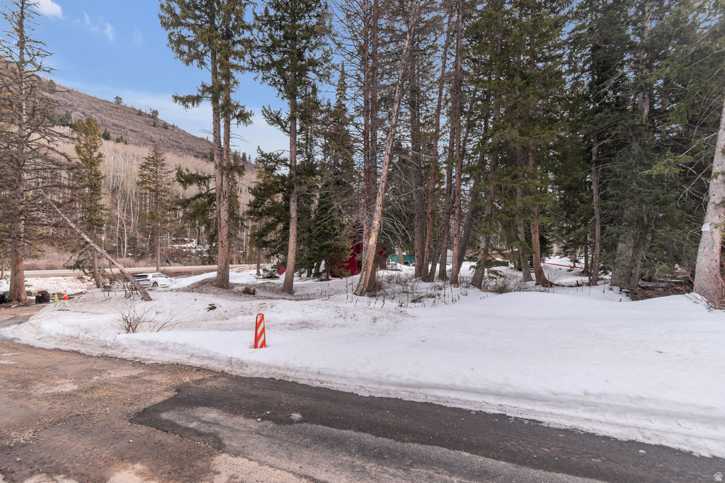 10840 E MOOSE RUN LN Brighton, UT 84121