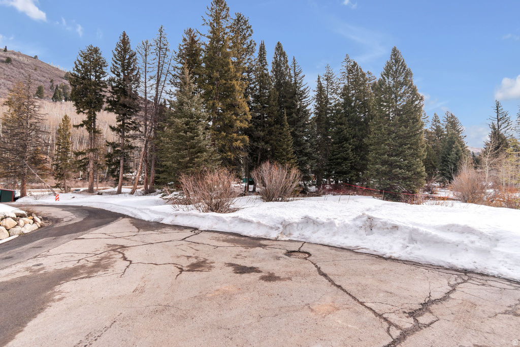 10840 E MOOSE RUN LN Brighton, UT 84121