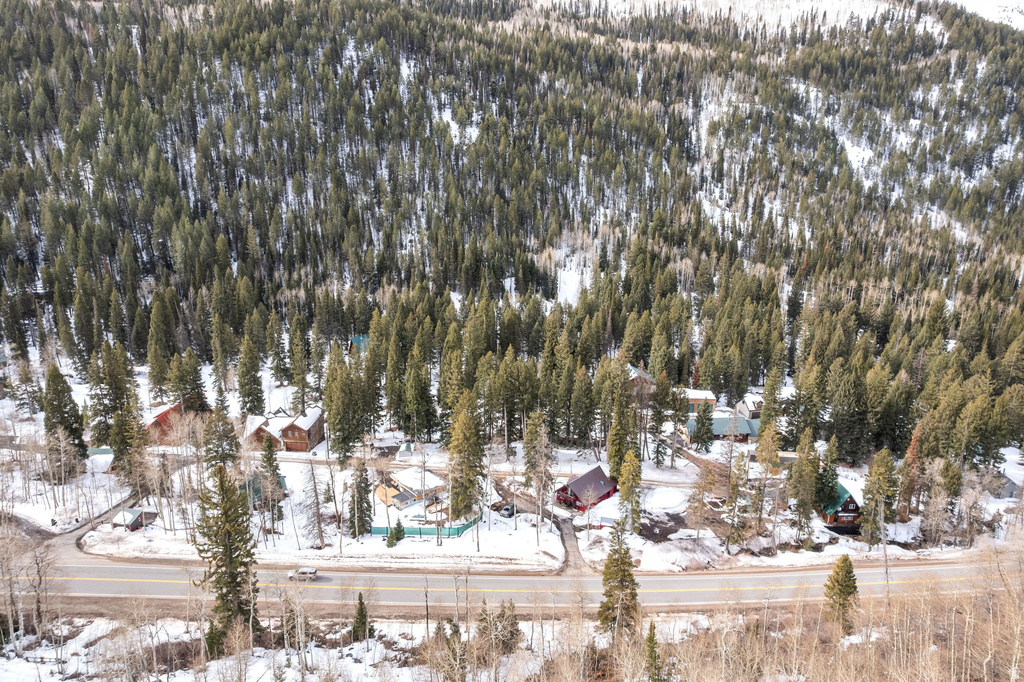 10840 E MOOSE RUN LN Brighton, UT 84121