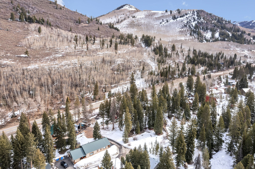 10840 E MOOSE RUN LN Brighton, UT 84121