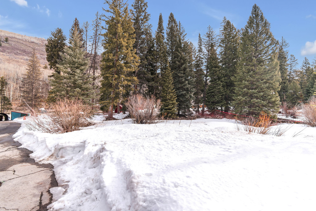 10840 E MOOSE RUN LN Brighton, UT 84121