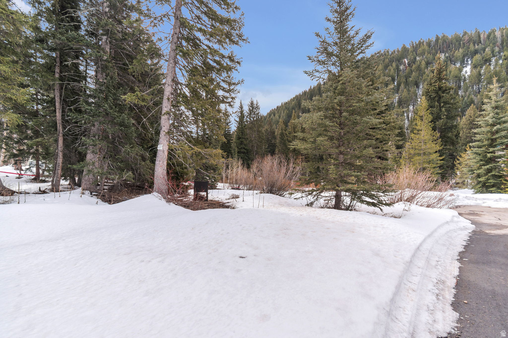 10840 E MOOSE RUN LN Brighton, UT 84121