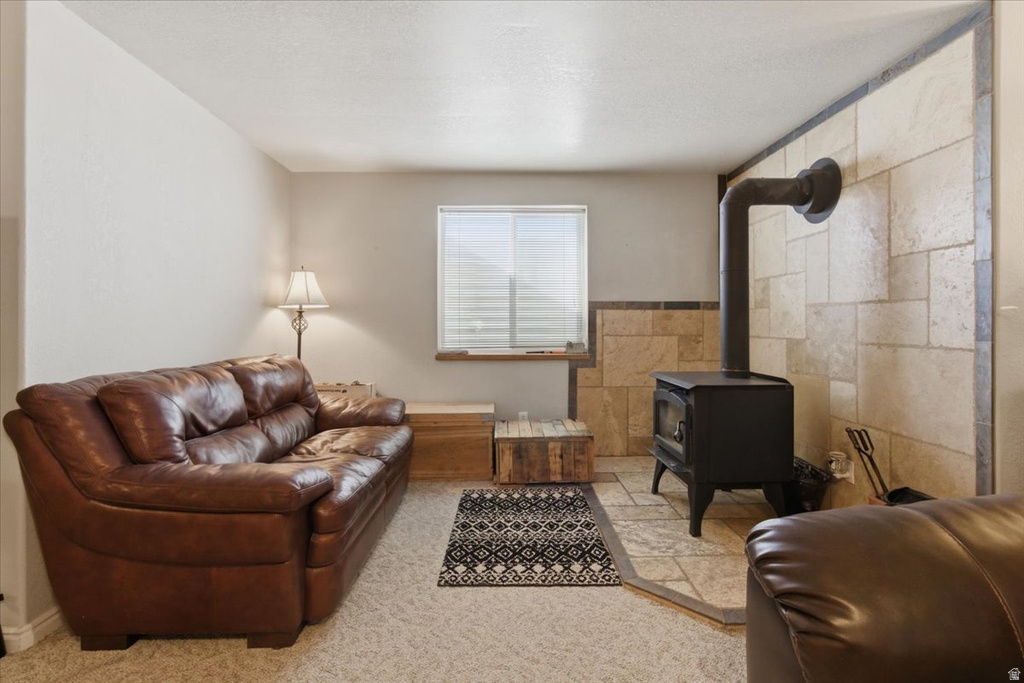 11770 E 24500 N Fairview, UT 84629