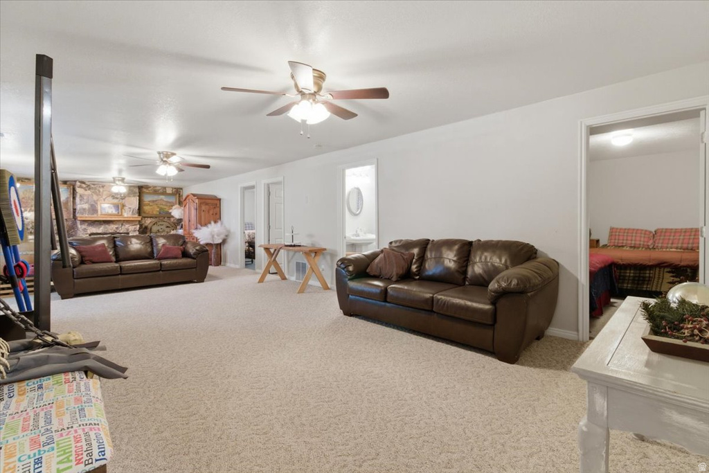 11770 E 24500 N Fairview, UT 84629