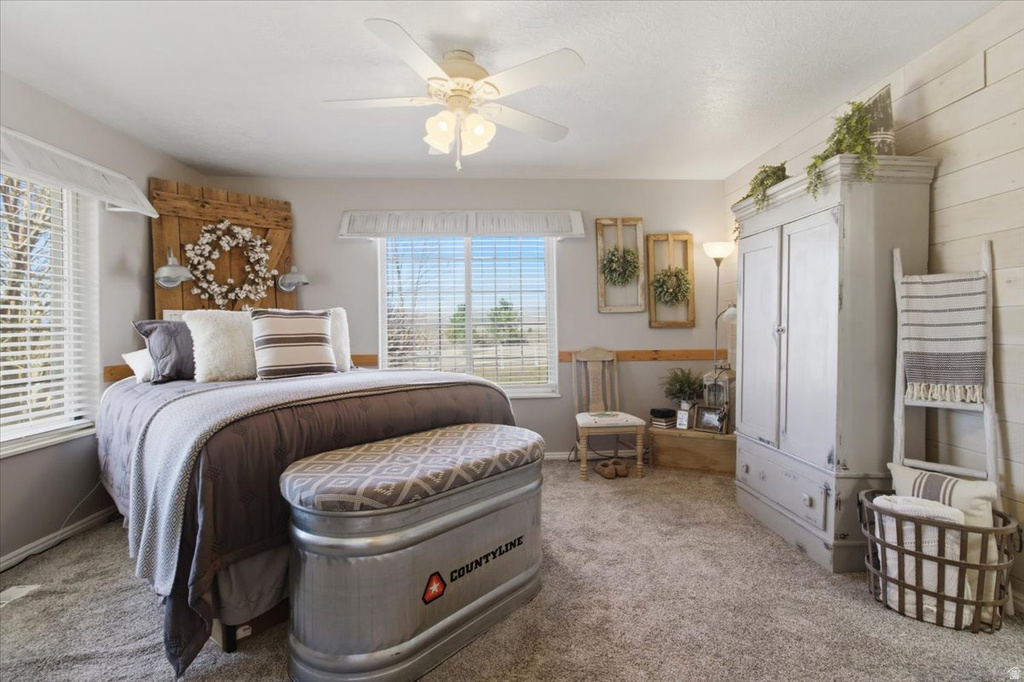 11770 E 24500 N Fairview, UT 84629