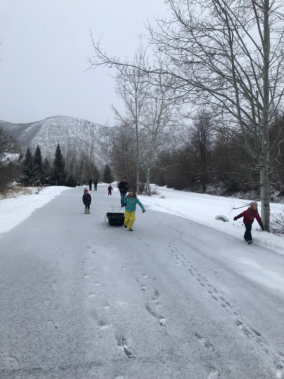 47 S MEADOW DR Springville, UT 84663