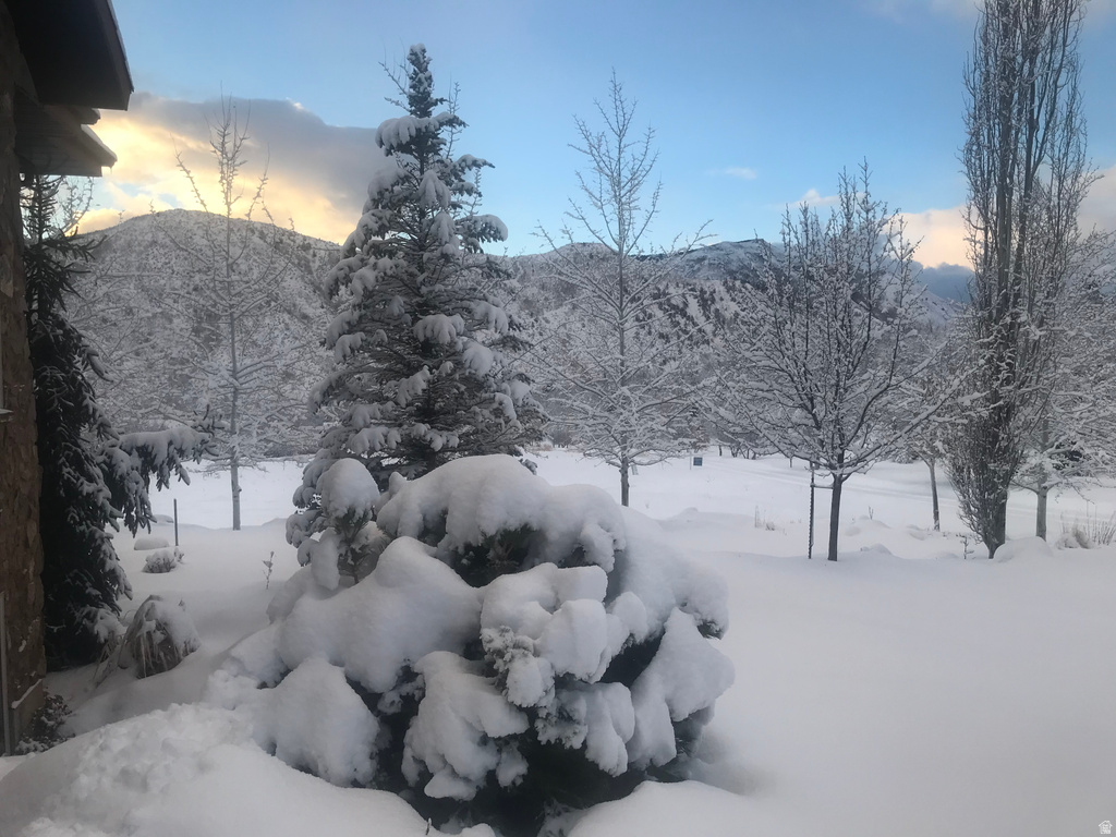 47 S MEADOW DR Springville, UT 84663