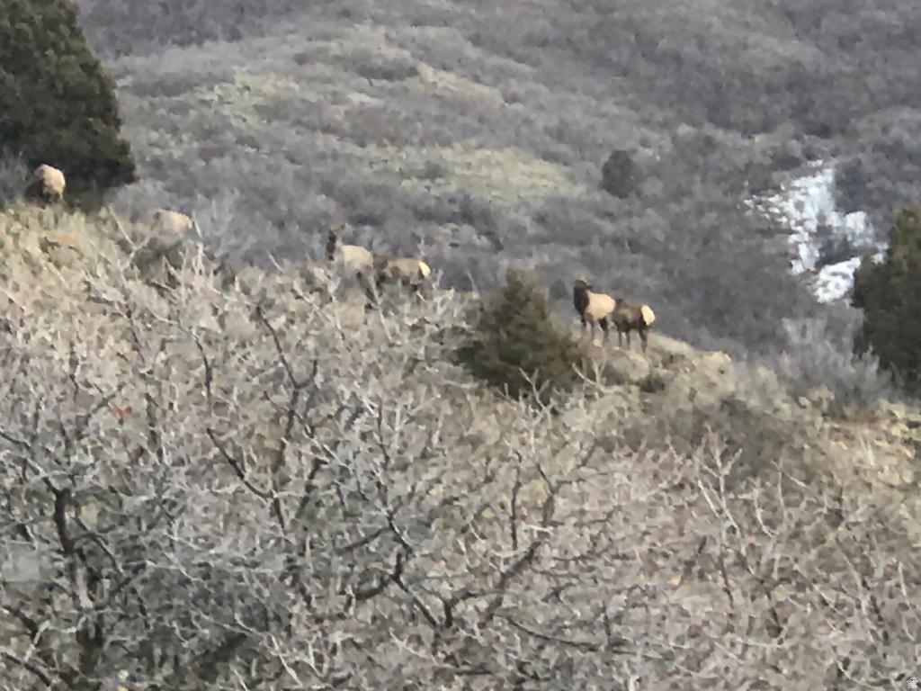 47 S MEADOW DR Springville, UT 84663