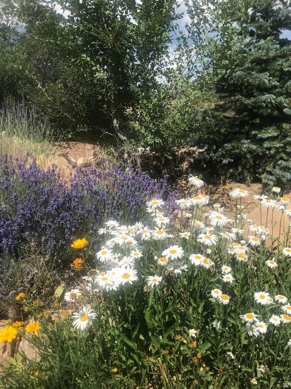 47 S MEADOW DR Springville, UT 84663