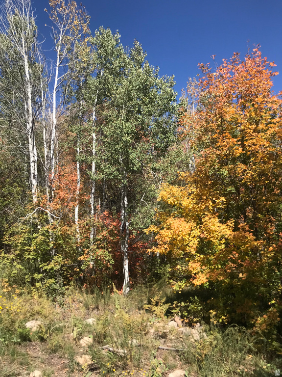 47 S MEADOW DR Springville, UT 84663