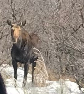 47 S MEADOW DR Springville, UT 84663