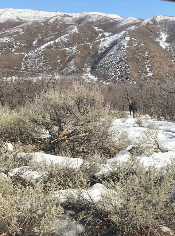 47 S MEADOW DR Springville, UT 84663