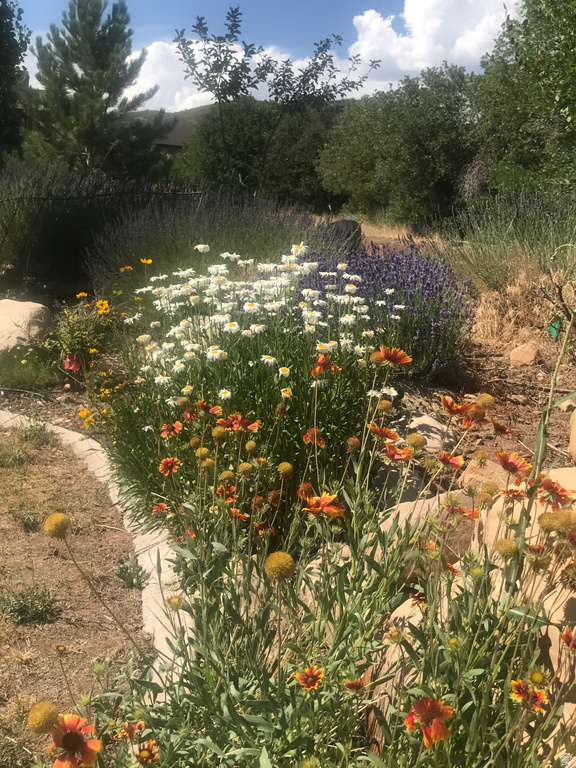 47 S MEADOW DR Springville, UT 84663