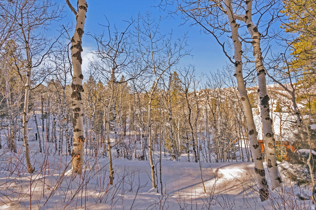 8180 ASPEN LOOP #51&52 Oakley, UT 84055