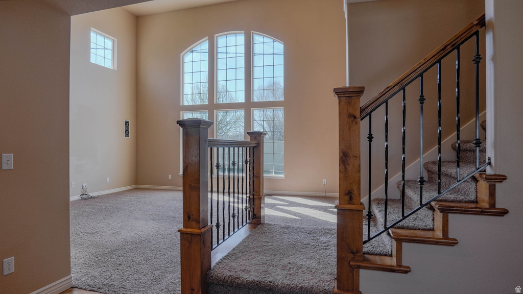 1377 S 1650 E Provo, UT 84606