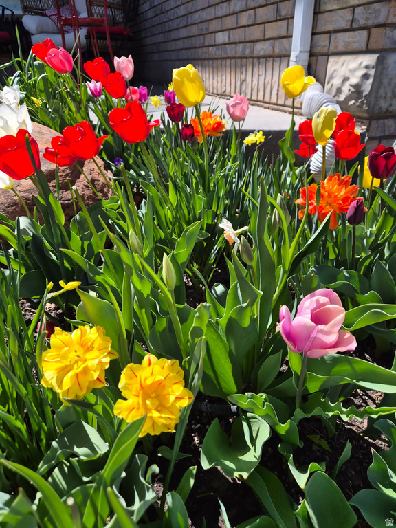 1697 W 2450 N Vernal, UT 84078