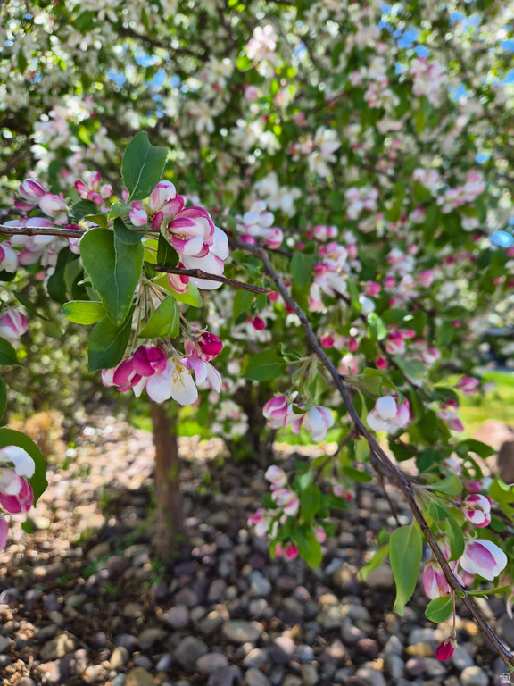 1697 W 2450 N Vernal, UT 84078