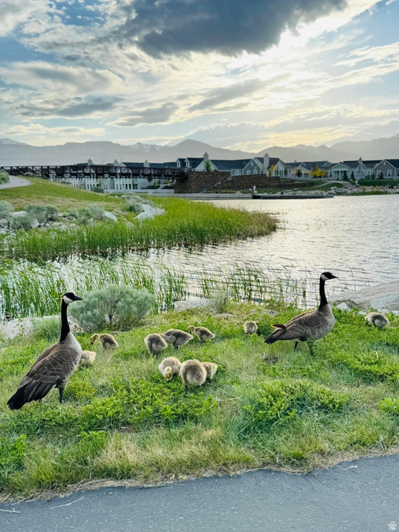 10993 S OQUIRRH RD South Jordan, UT 84009